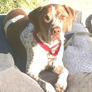 Meet your Posher, Karin